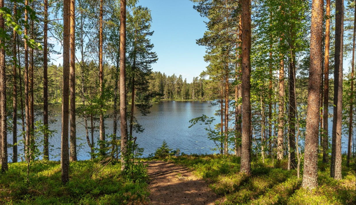 Sommarhälsning